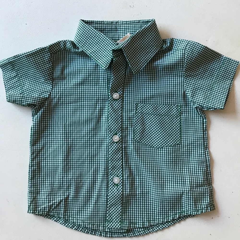 Boys button down green gingham shirt