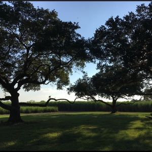 Meet your Posher, Max