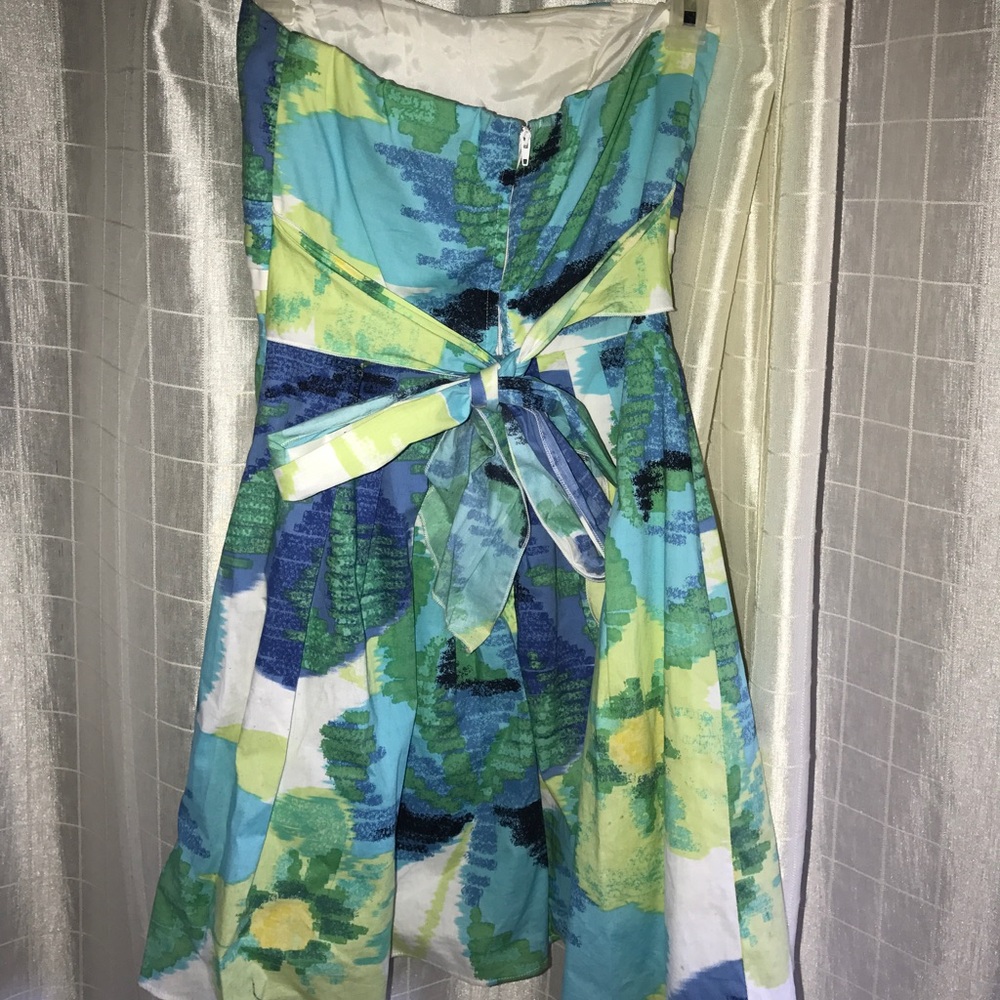 Dress - Picture 3 of 4