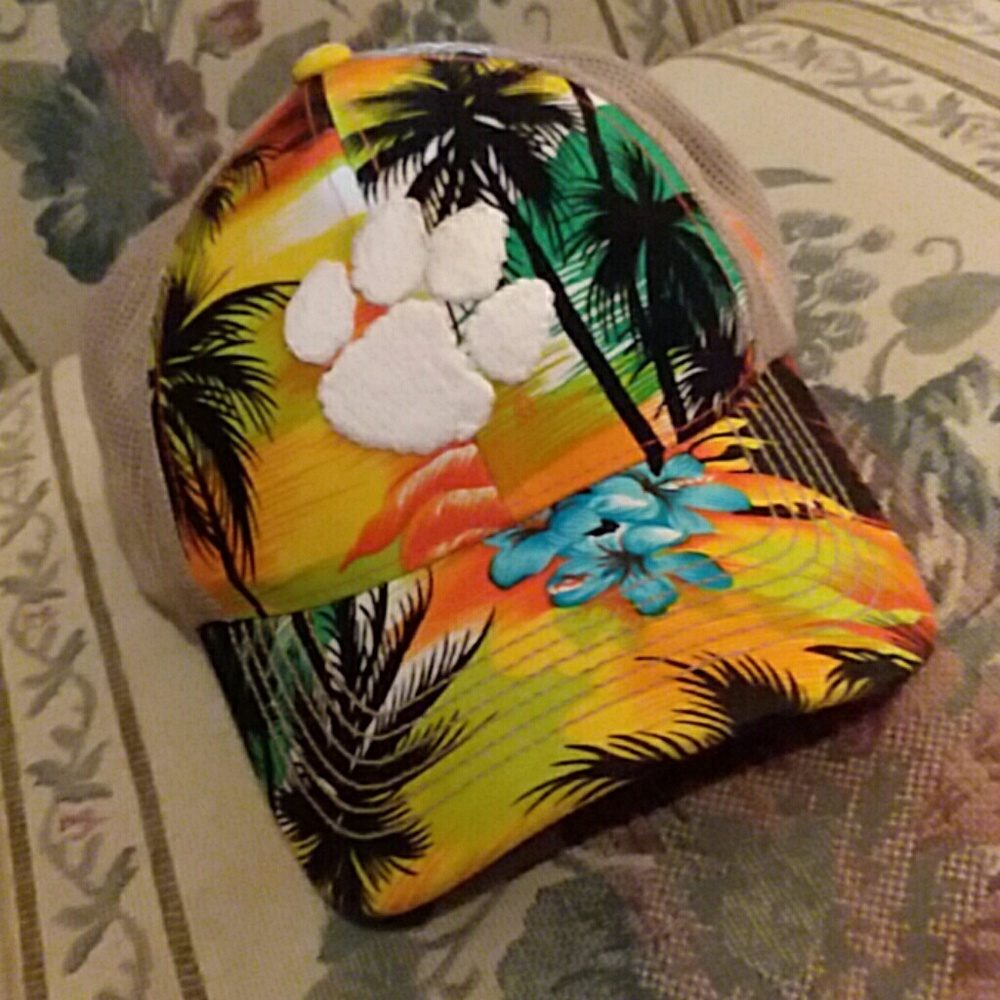 Clemson hat