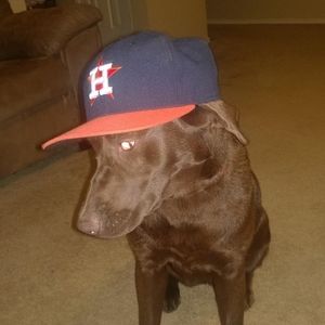 Meet your Posher, Scott