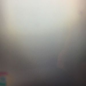 Meet your Posher, Bee