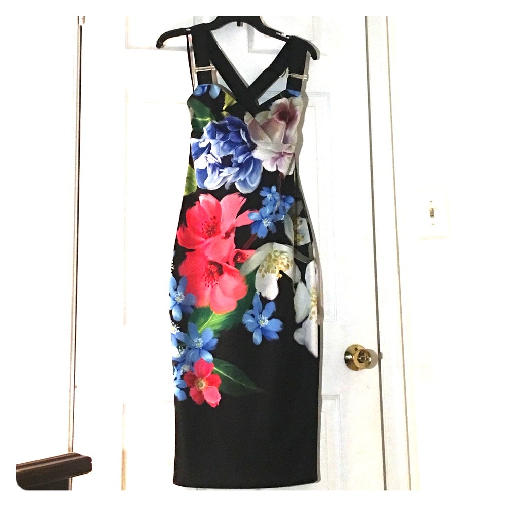Ted Baker Chelsea Dress 💐💐. Only worn once.