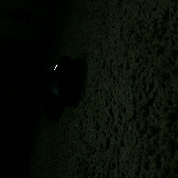 Meet your Posher, Jerell - Picture 1 of 1