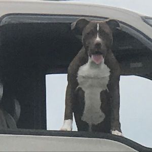 Meet your Posher, Jon