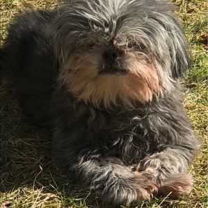 Meet your Posher, Donna