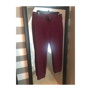 Express maroon dress pants