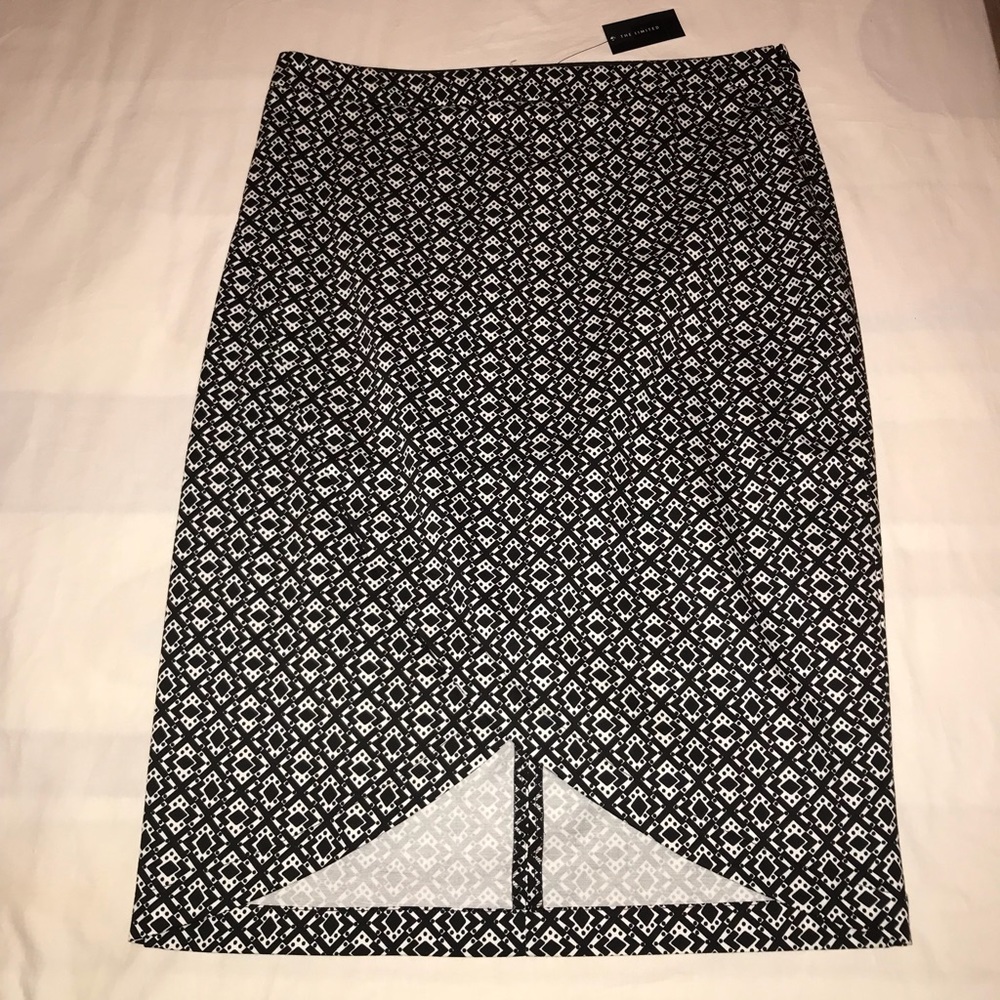 The Limited skirt