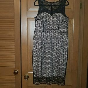 Ann Taylor sleeveless lace dress