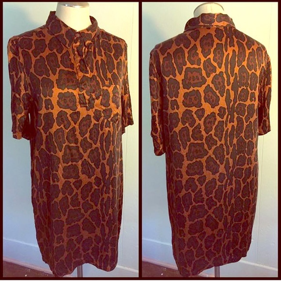 Collared dress - Picture 1 of 1