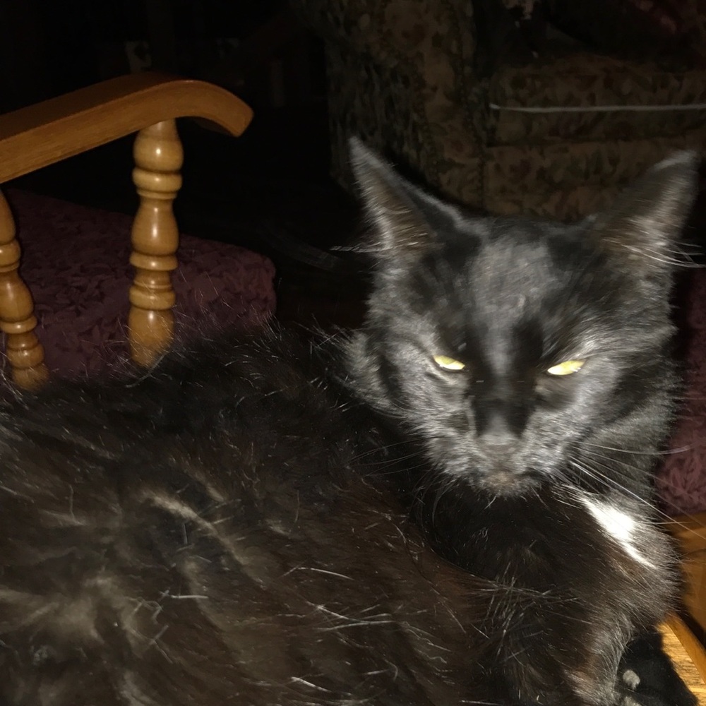 Meet your Posher, Linda