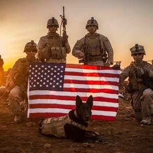 Meet your Posher, Kenny