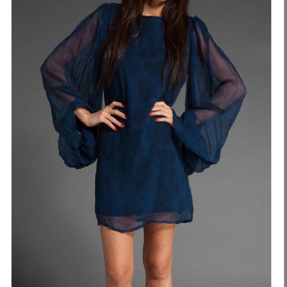 NWT Winter Kate dress