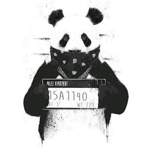 Meet your Posher, Aidin