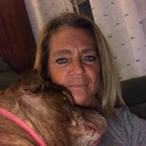 Meet your Posher, Sandy