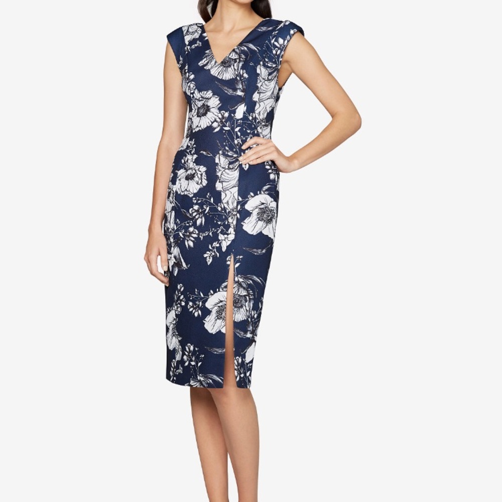 Fame and Partners Dress