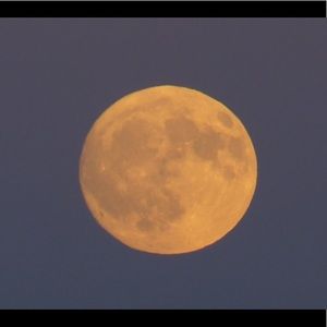 Meet your Posher, Eli