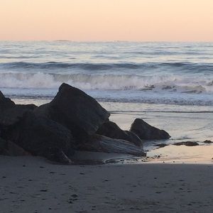 Meet your Posher, Alison