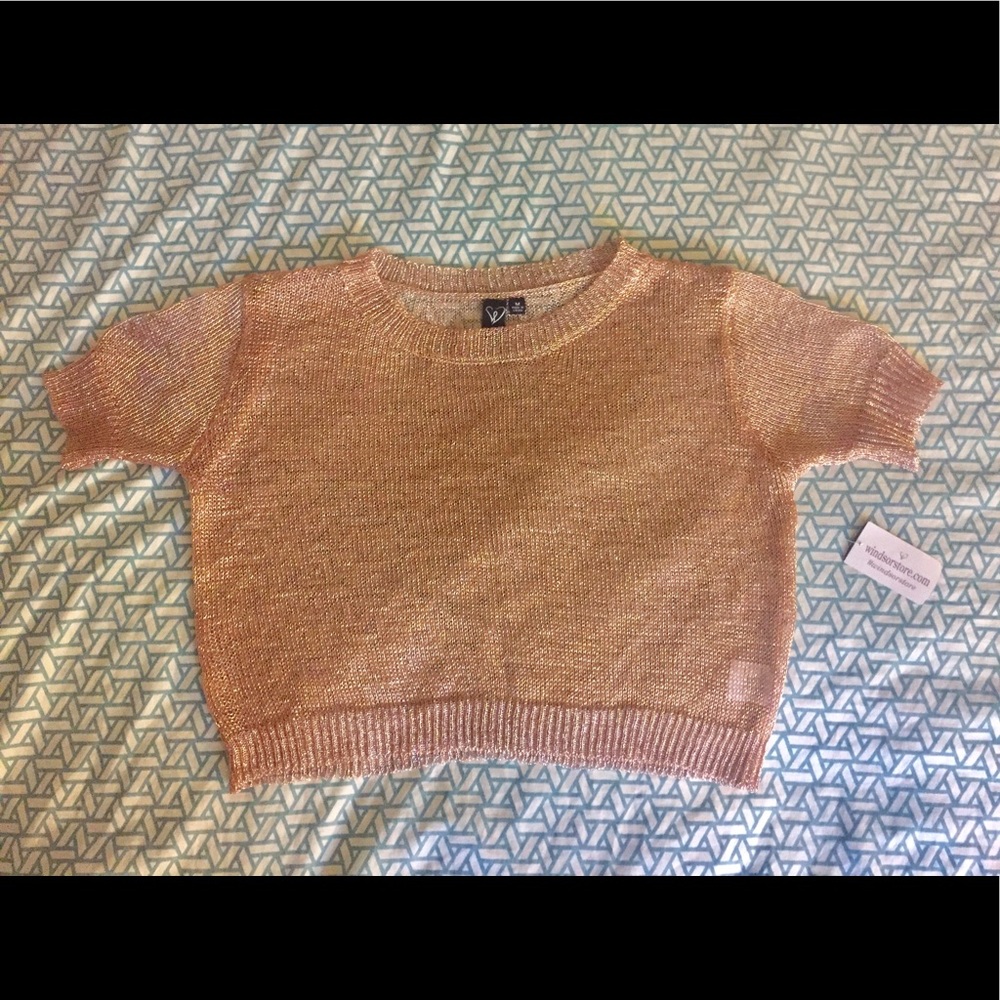 Windsor Rose Gold Chainmail Crop Top