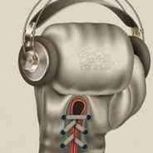 Meet your Posher, Benjamin