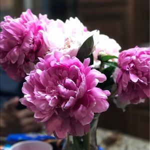 Meet your Posher, Robert