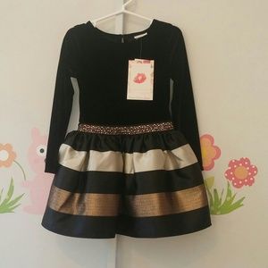 Sweet Heart Rose flocked velvet dress 4t
