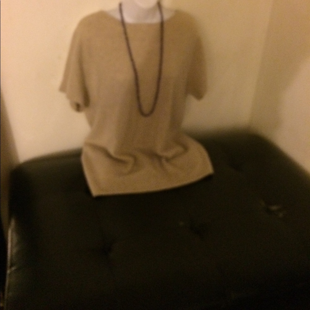 Older cashmere tunic ,  no snags rips some. Pile