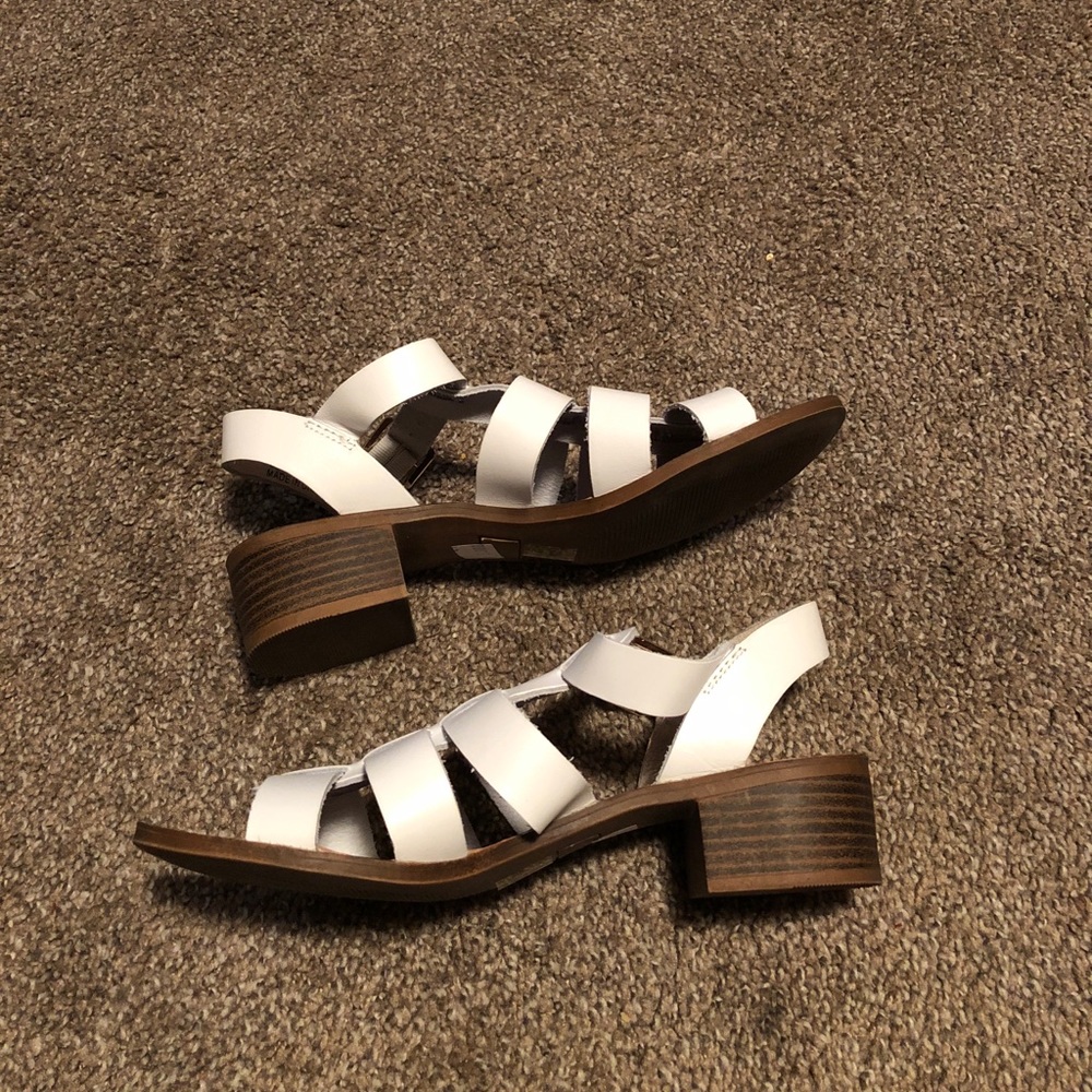 Steve Madden gladiator mules