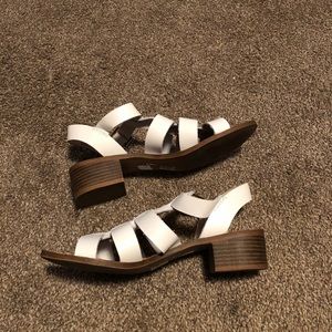 Steve Madden gladiator mules