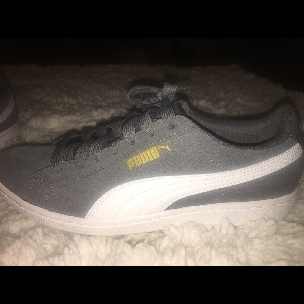 Grey and white pumas
