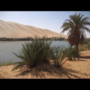 Meet your Posher, Arame