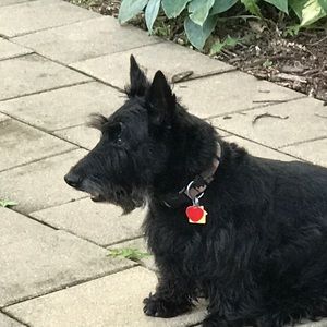 Meet your Posher, Scott