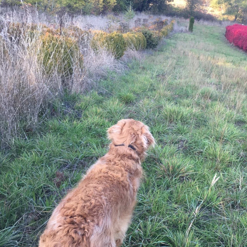 Meet your Posher, Andrew