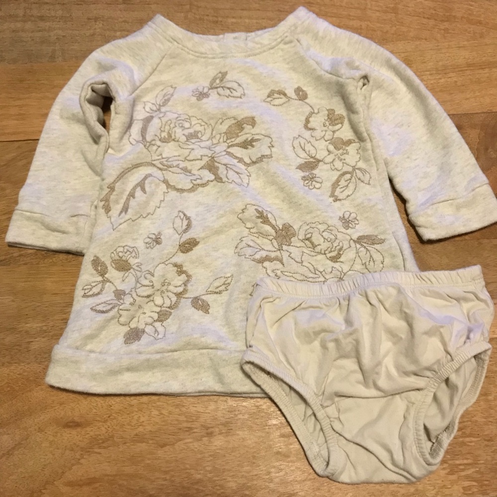 Baby Gap Embroidered Dress / Tunic
