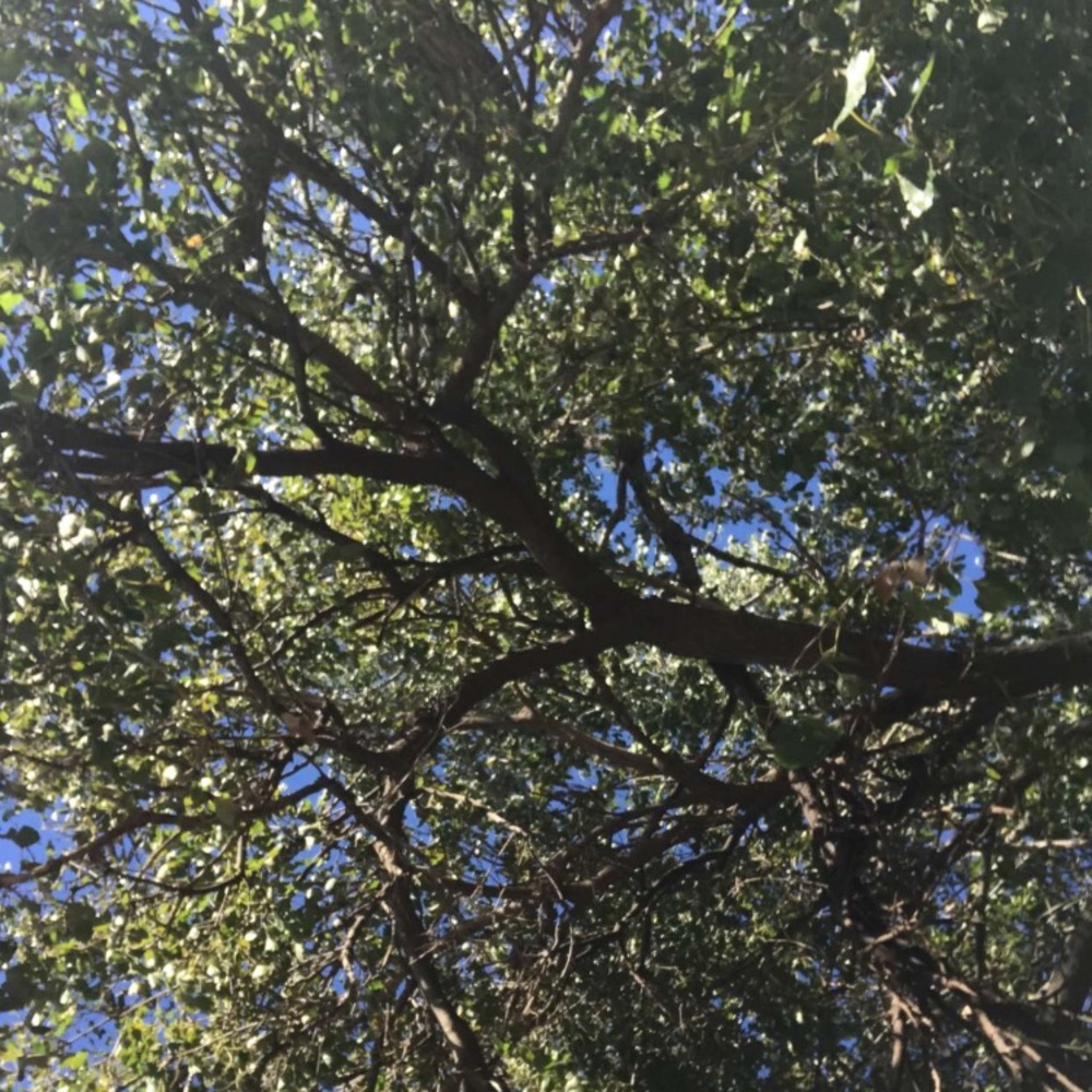 Meet your Posher, Madelyn