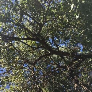 Meet your Posher, Madelyn