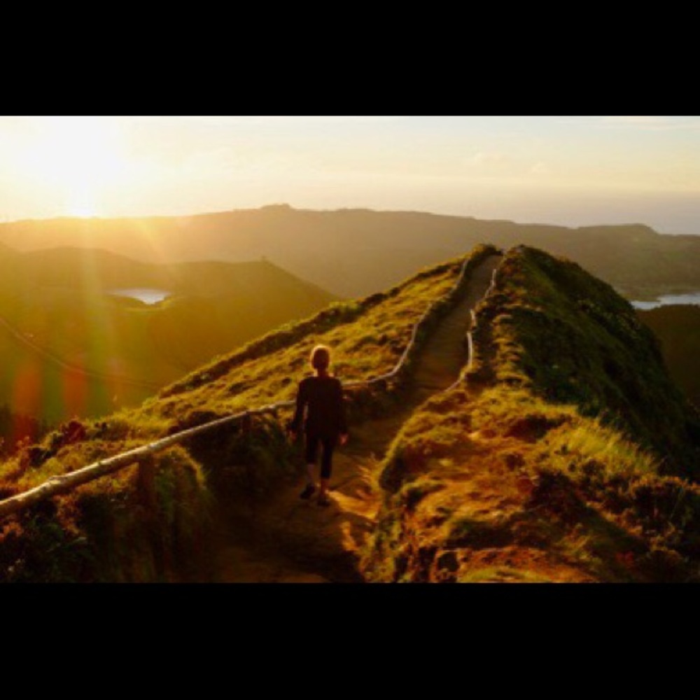 Meet your Posher, Molly