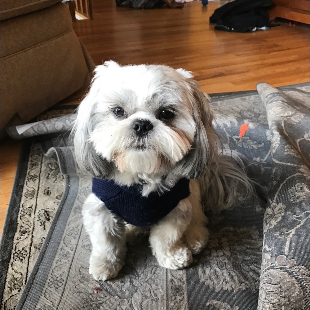 Meet your Posher, Marcy