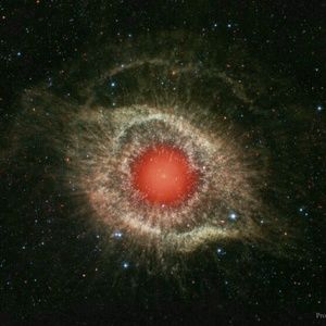 Meet your Posher, Carlos