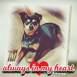 Meet your Posher, Diane