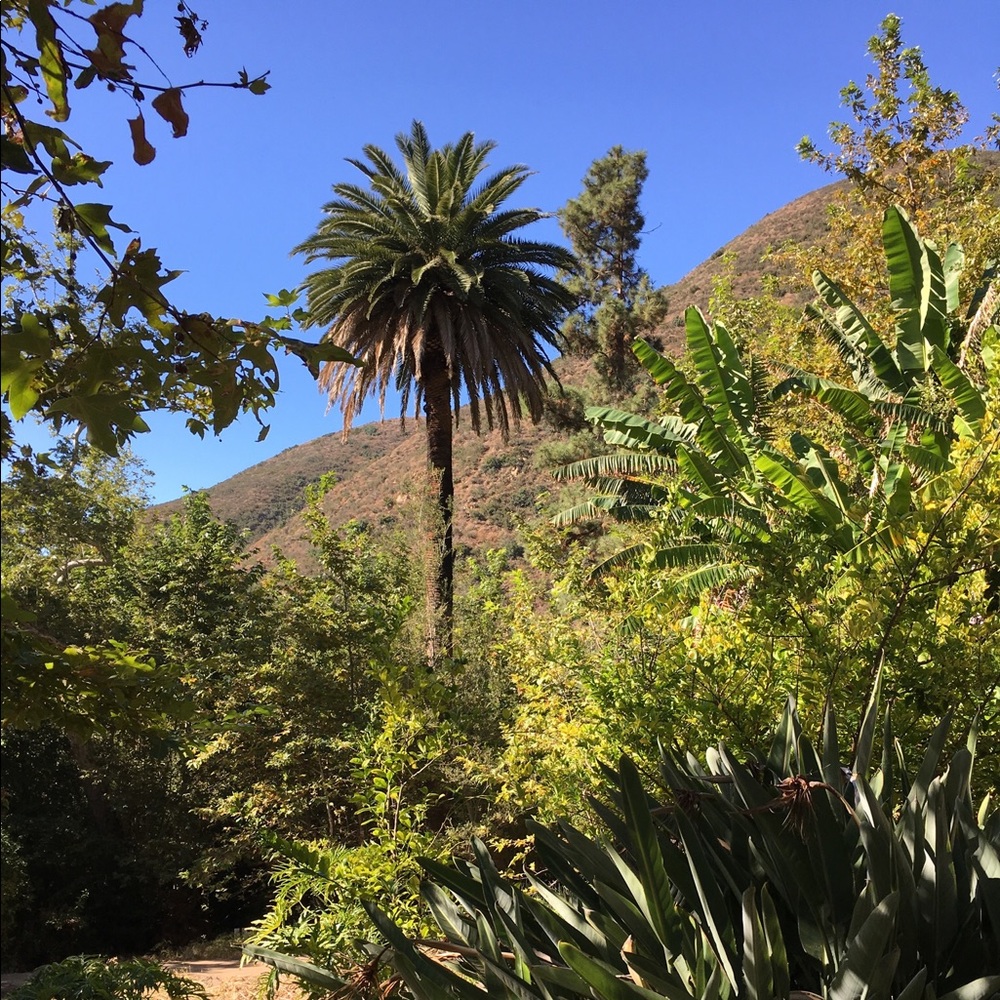 Meet your Posher, Lucy