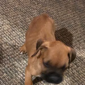 Meet your Posher, Ricardo