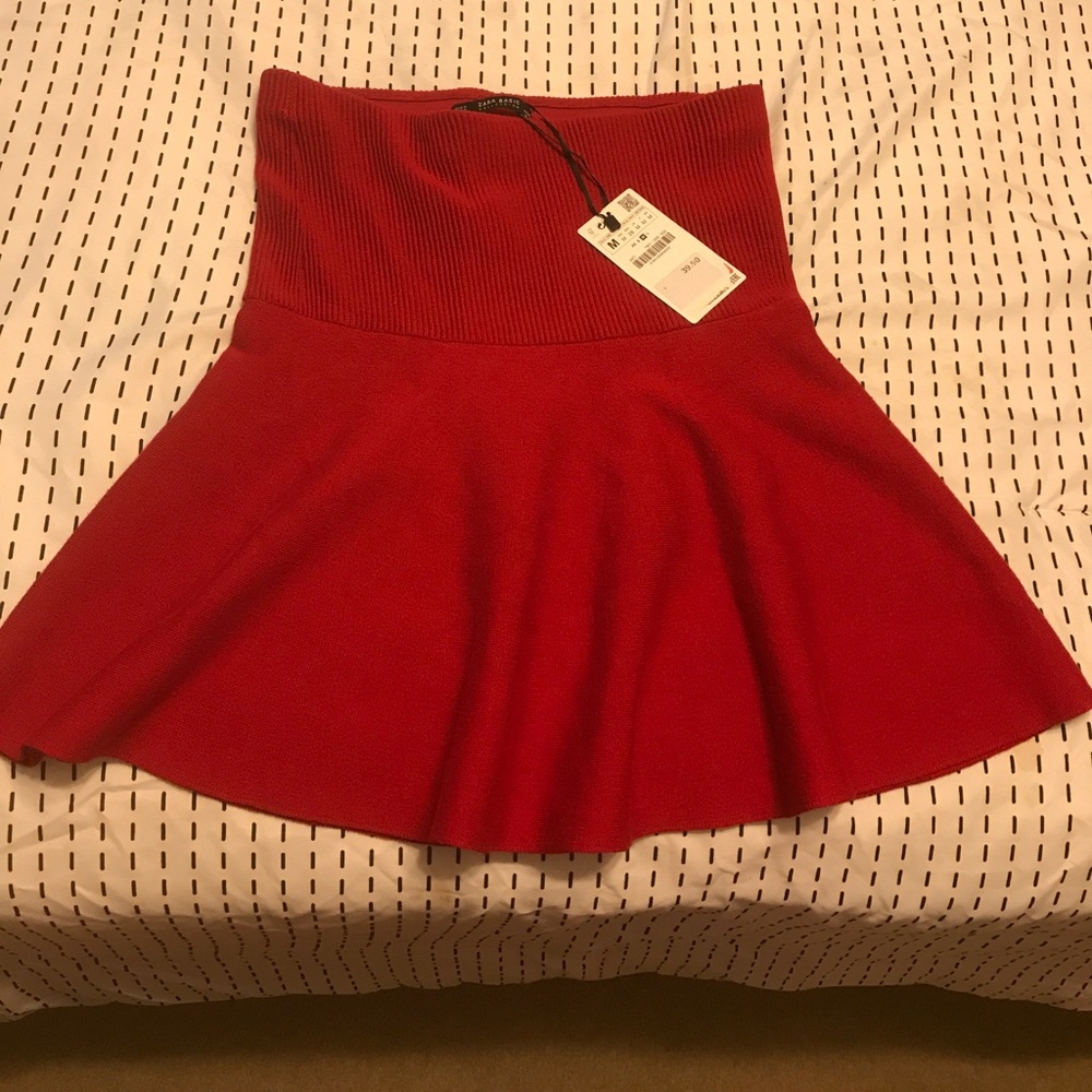 NWT Zara Skirt