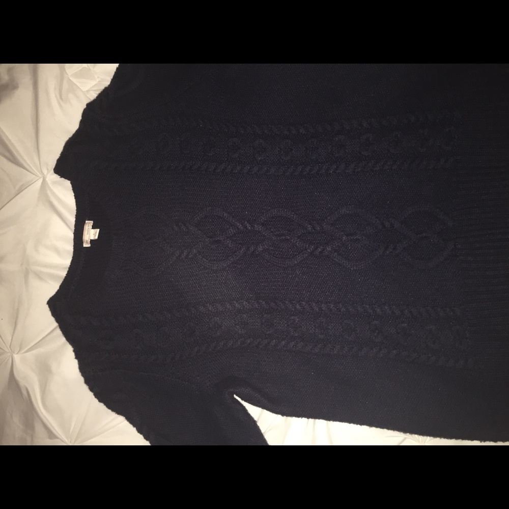 Navy Blue Gap Sweater