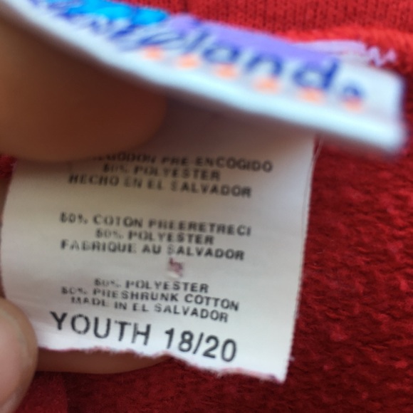 Authentic Disneyland Resort hoodie - Picture 4 of 4