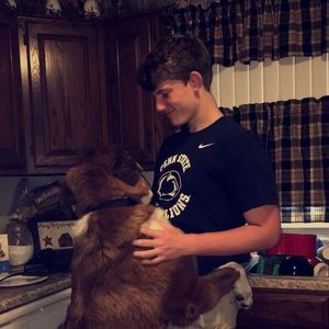 Meet your Posher, Bailey