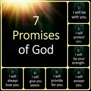 Meet your Posher, Alba