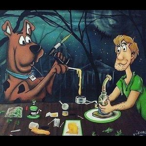 Meet your Posher, Luke