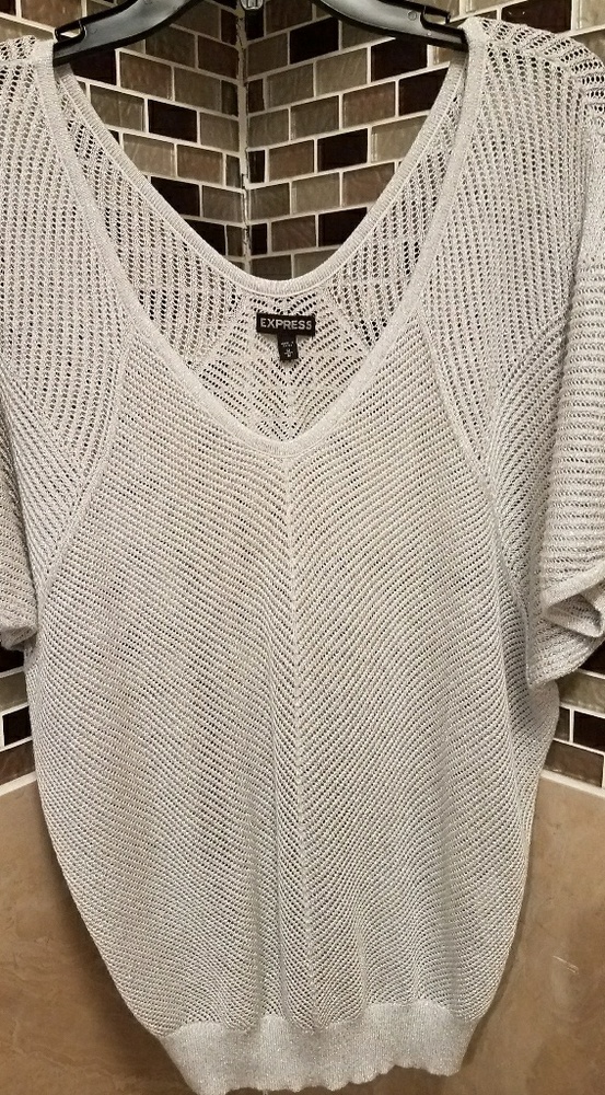 SOLD Express silver sparkle top