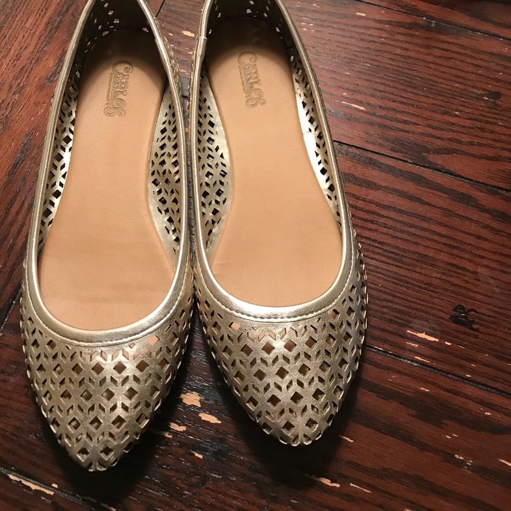 Pointed toe, metallic women’s flats, size 7